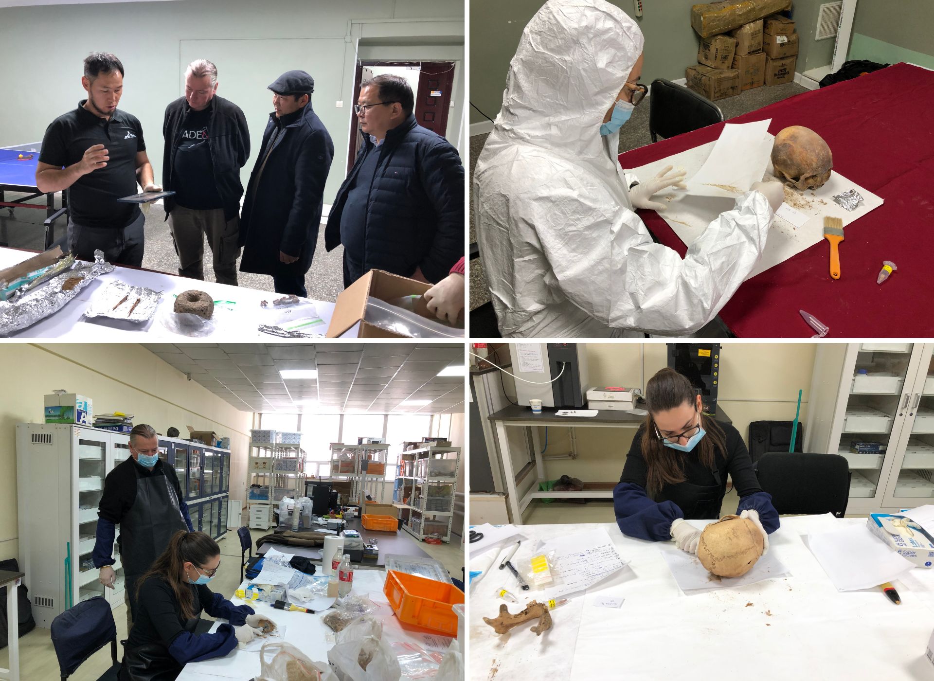 Új eredmények az Ar-Gunt-i hun temető feltárásán Új eredmények az Ar-Gunt-i hun temető feltárásán